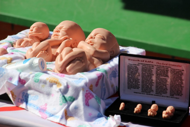Освятил кулич - проголосуй за исключение абортов из обязательного медицинского страхования!